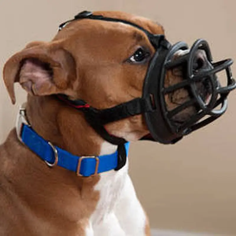 The Company Of Animals Baskerville Ultra Muzzle For Dogs-dogs 10-15 Lbs (size 1)-