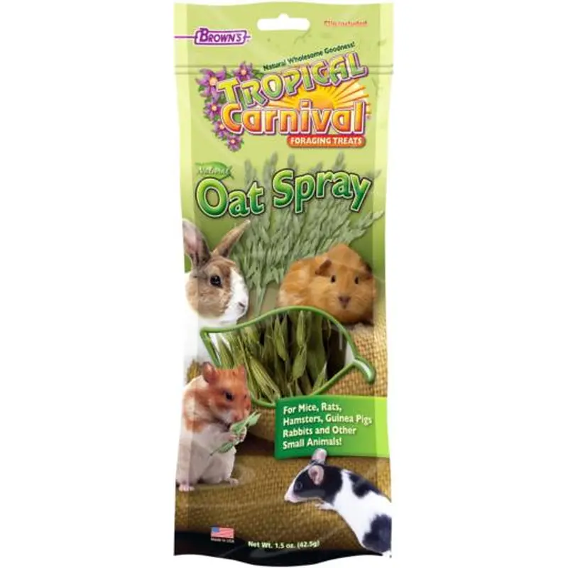 FM Brown's Tropical Carnival Natural Oat Spray Foraging Treat 1.5 oz (D)
