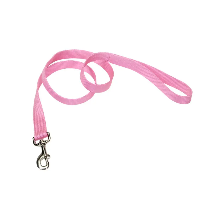 Coastal Single-Ply Nylon Leash 1 X 6Ft Bright Pink 