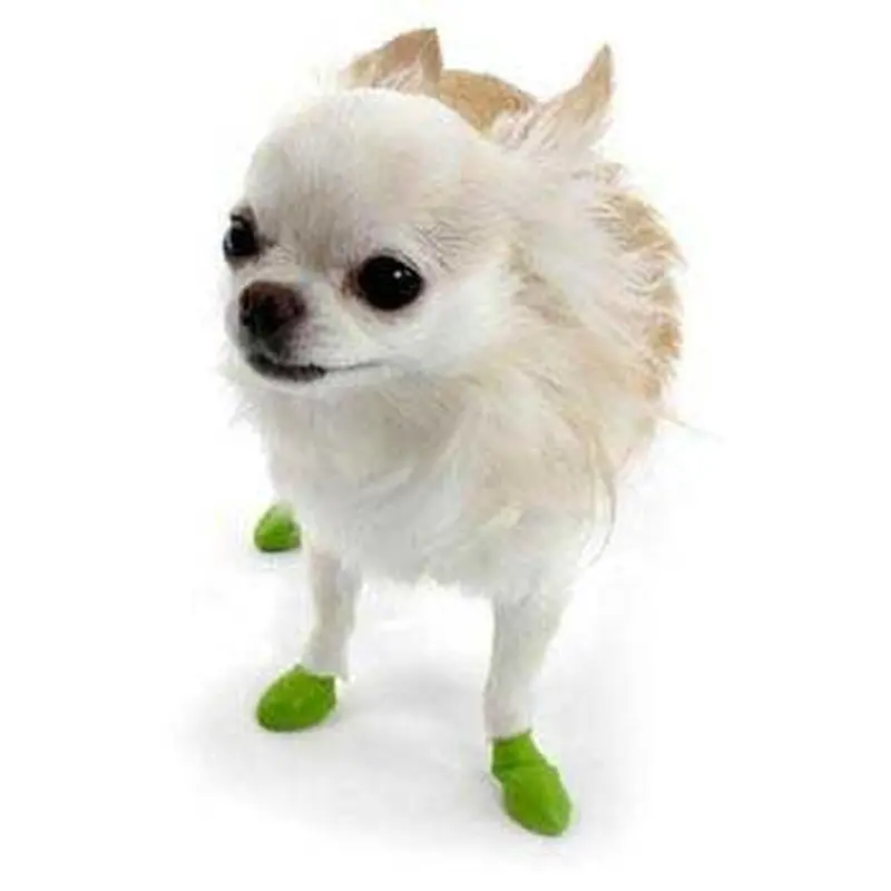 Pawz Dog Boots - 12 pk. Tiny 