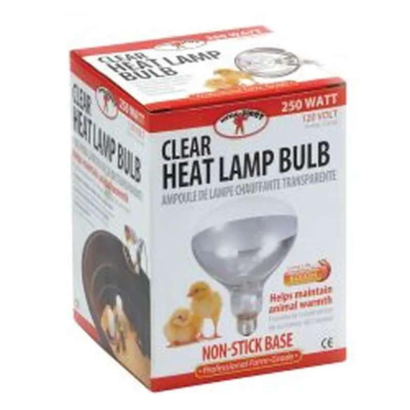Little Giant Clear Heat Lamp Bulb 250 Watt