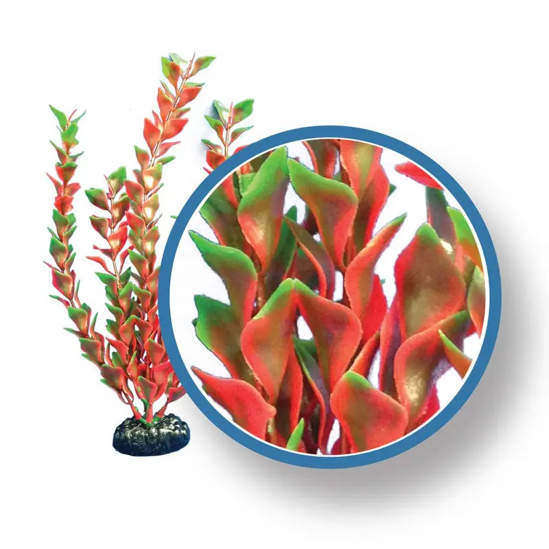 Weco Freshwater Pro Series Ludwigia Aquarium Plant Red 30 in