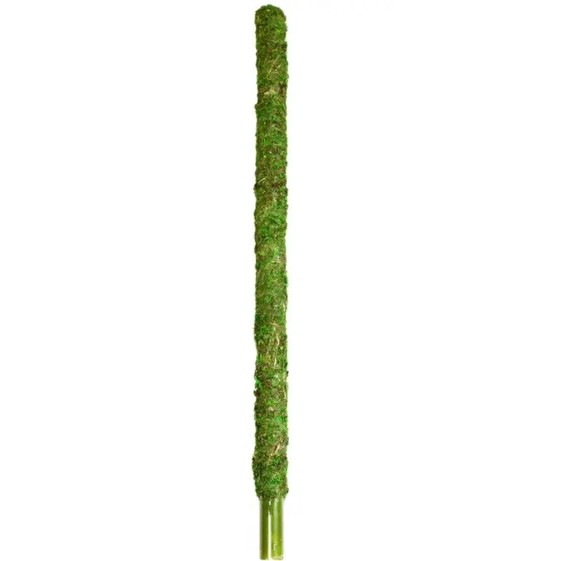 Galapagos Mossy Perch Terrarium Ornament Fresh Green 24 in