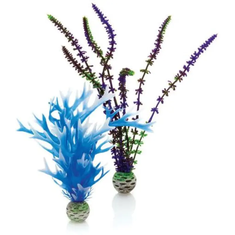 biOrb Plant Medium Blue / Purple 2 ct