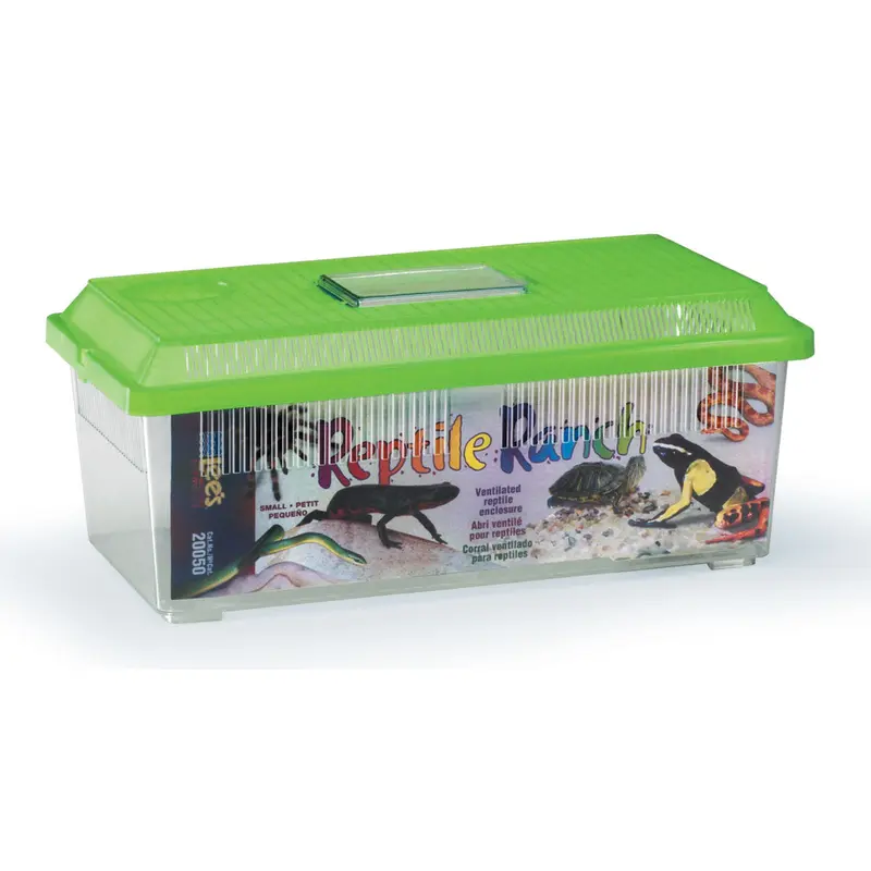 Lees Rectangle Reptile Ranch Assorted 14.37in X 5.93in SM