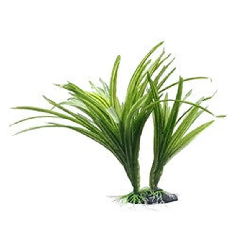 Hagen Fluval Striped Acorus Plant 10in Pp1610
