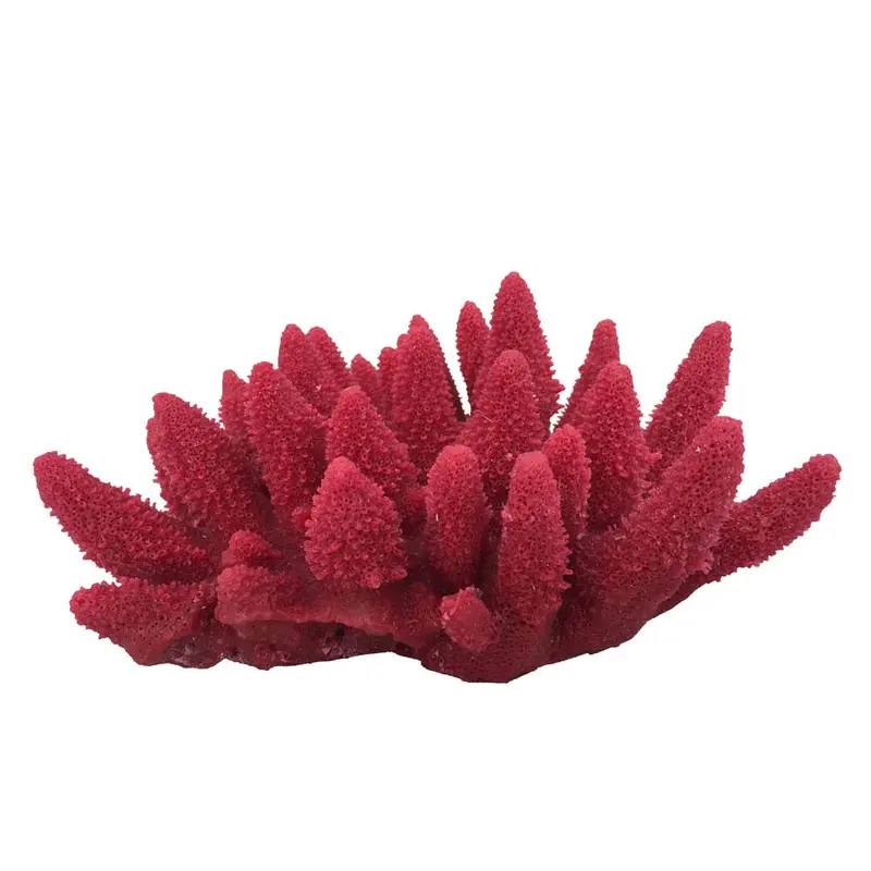Weco South Pacific Coral Acorapora Humilis Ornament Rose MD