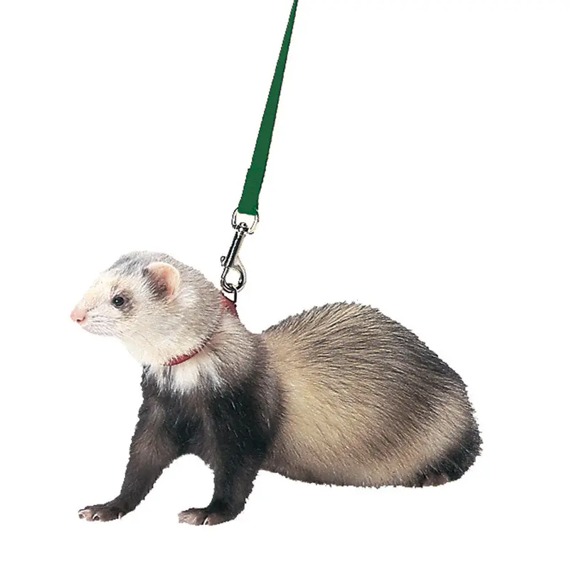 Marshall Ferret Harness and Lead Set Black