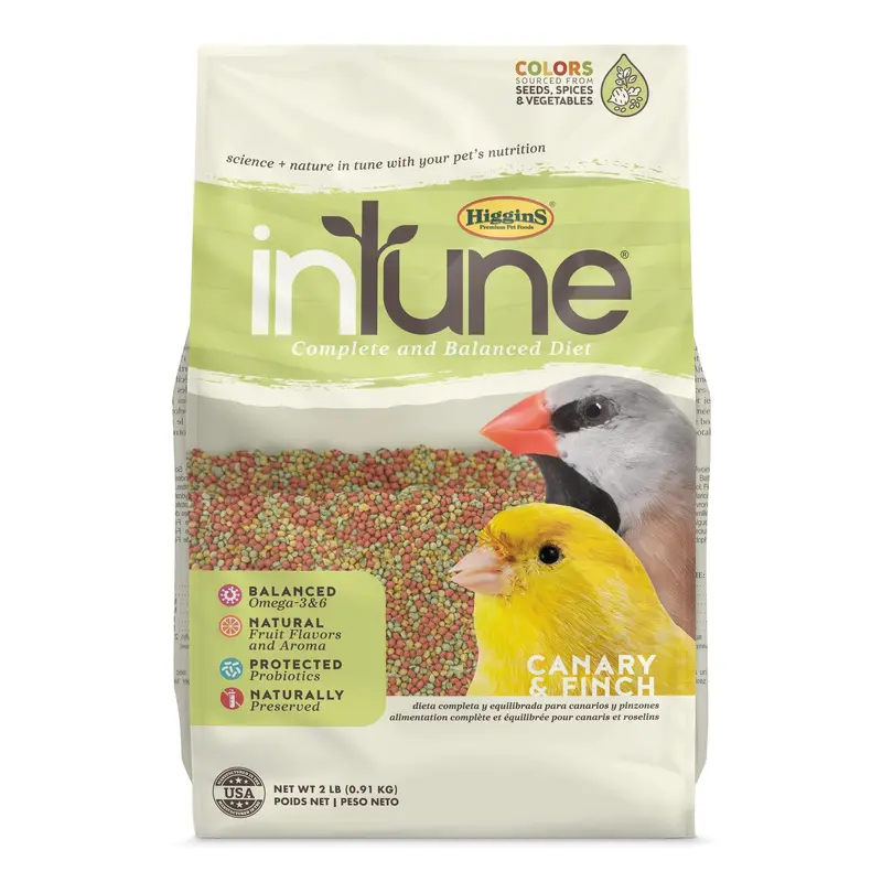Higgins inTune Harmony Canary & Finch 