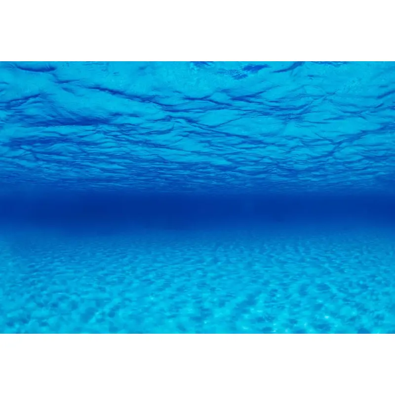 Seaview Double Sided Background Seascape & Natural Mystic 18 Inches X 50 Feet