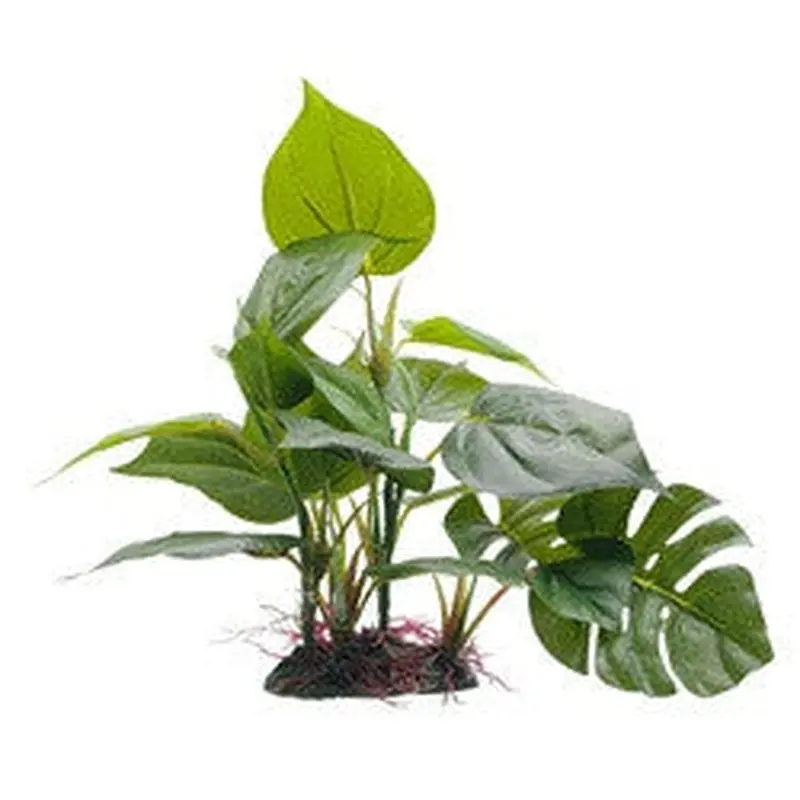 Hagen Fluval Anubias Plant 8in Pp1600