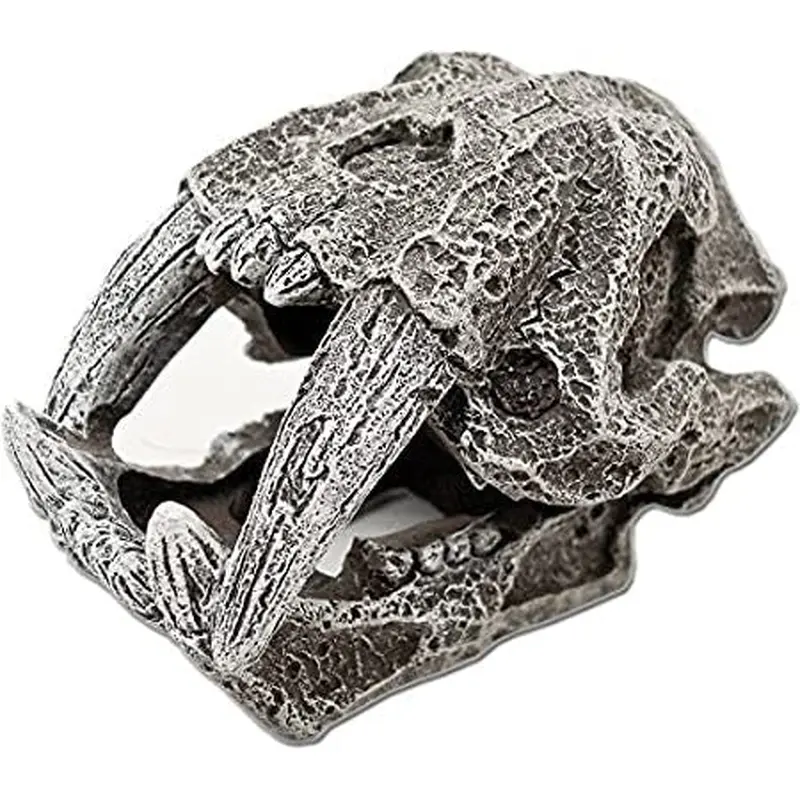 Blue Ribbon Saber Tooth Skull Mini
