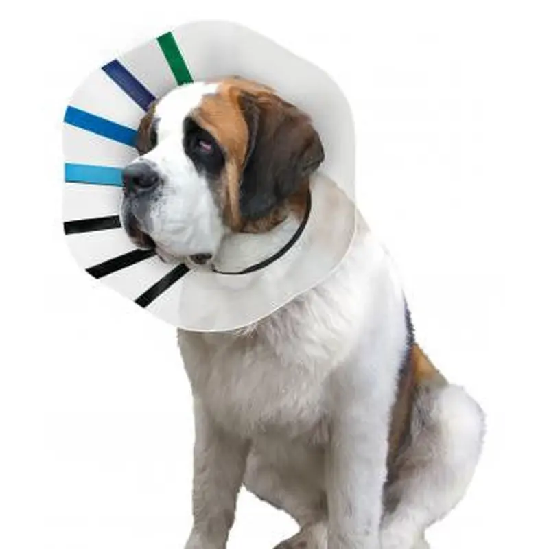 KONG E-Collar Clear/Blue/Black King