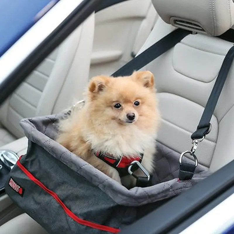 Mag Kong Secure Booster Seat