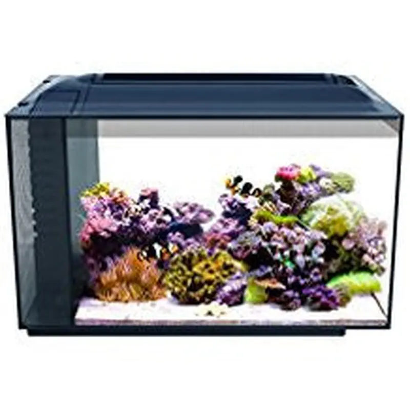 Fluval Sea Evo Aquarium Kit, 12 Gal 10531