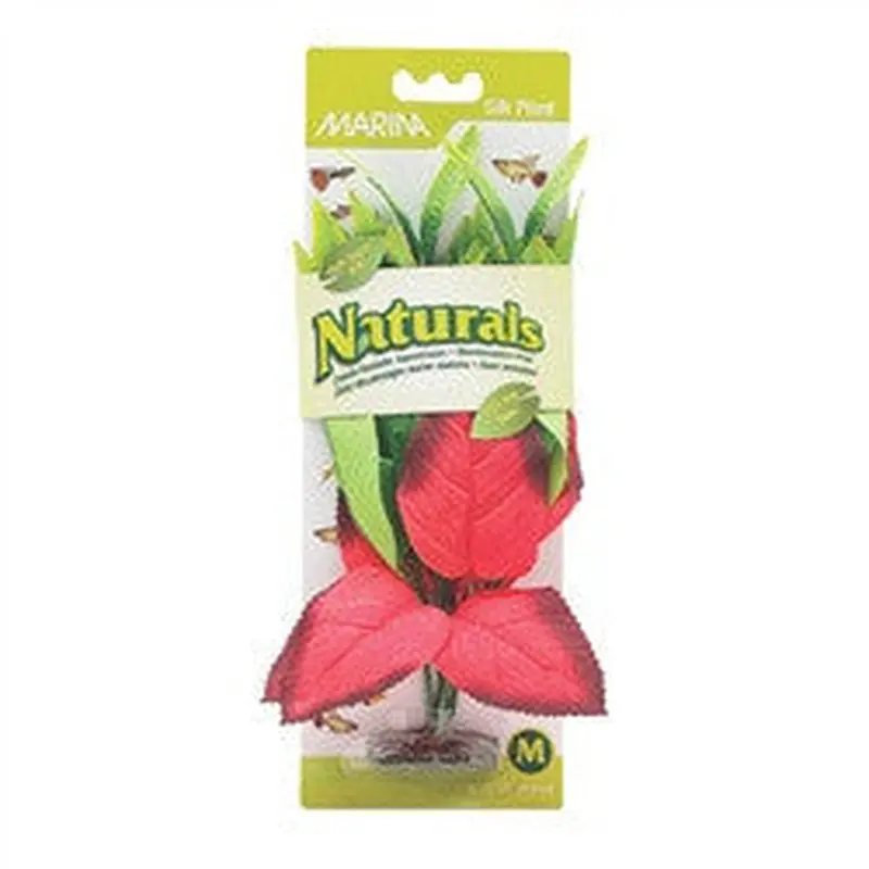 Marina Naturals Red and Green Pickerel Silk Plant Medium Pp99