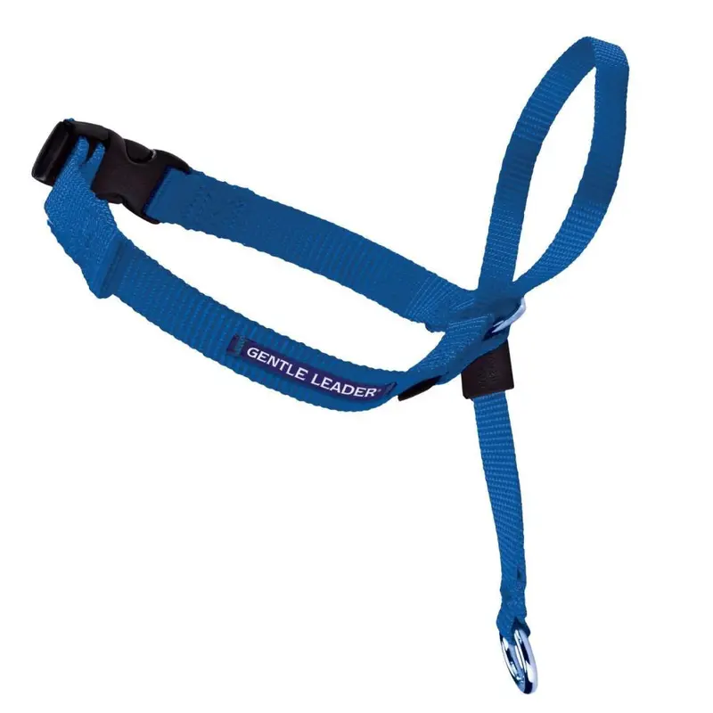 PetSafe Headcollar No-Pull Dog Collar Royal Blue MD