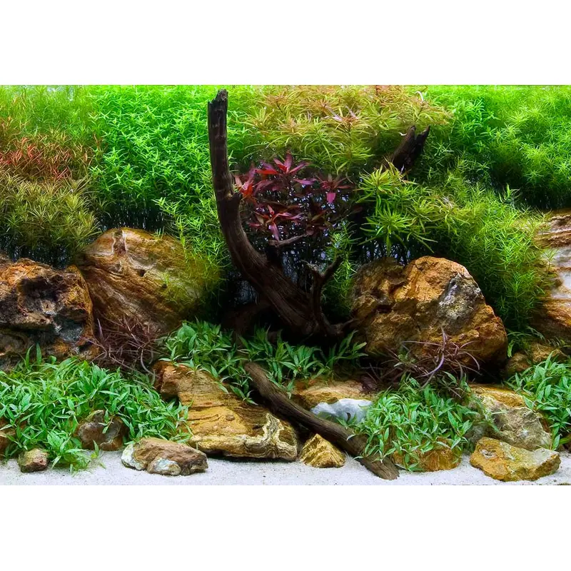 Seaview Double Sided Background Aqua Garden & Bright Stone 18 Inches X 50 Feet