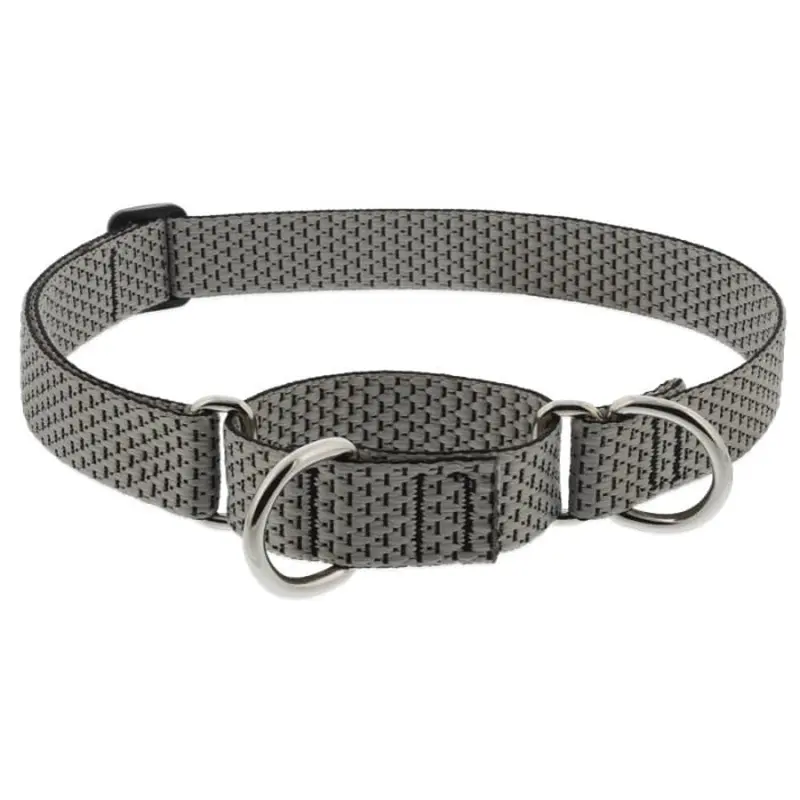Lupine Eco Martingale Dog Collar for Training 1" x 15"-22" Granite