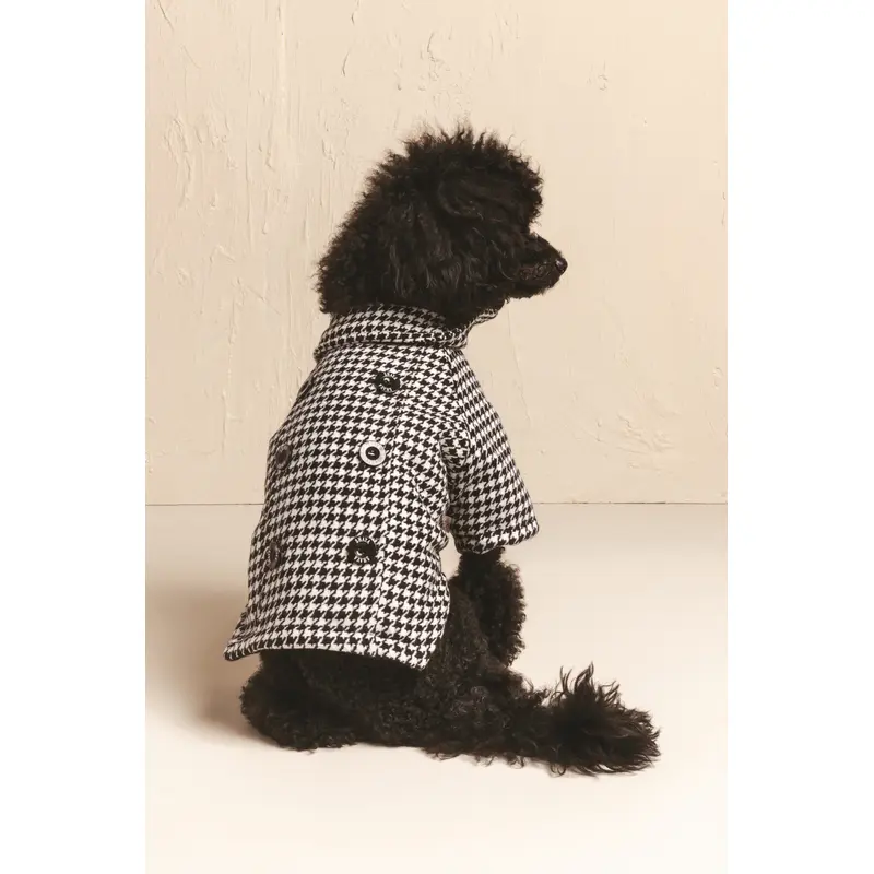 The British Are Coming