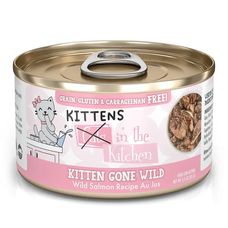 Weruva Cats In The Kitchen Kitten Wet Cat Food - Gone Wild Salmon - 3oz
