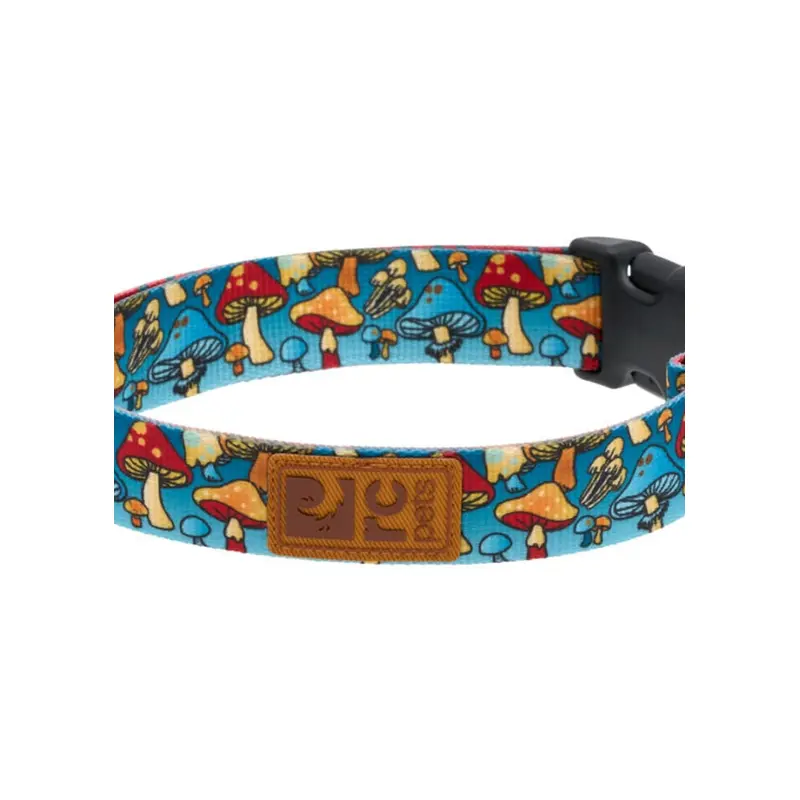 RC Pet Eco Dog Collar - S 3/4" - Funky Fungi