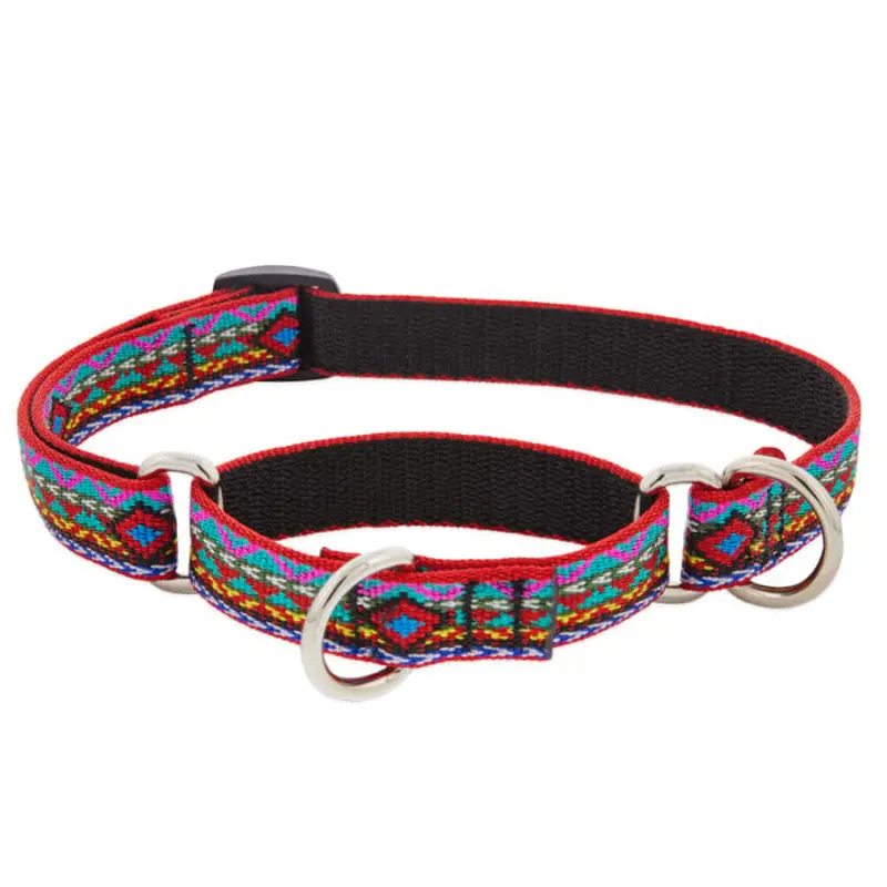 Lupine Pet Dog 3/4 In Wide 14-20 In Martingale Collar Original Designs El Paso