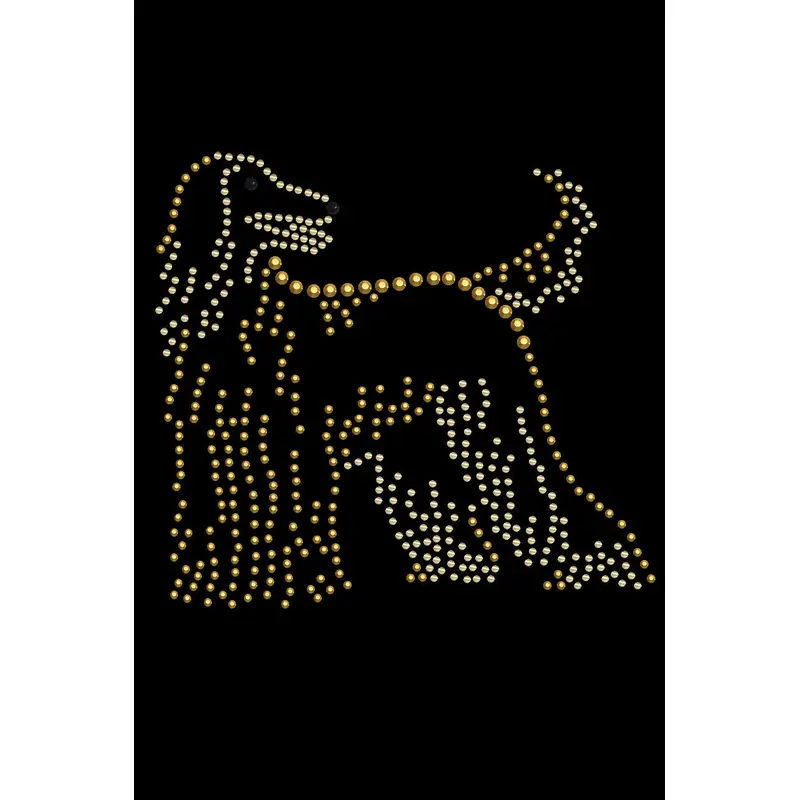 Afghan Hound - bandana