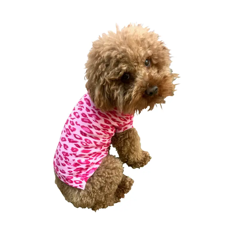 Summer Leopard Sweater, Fuchsia