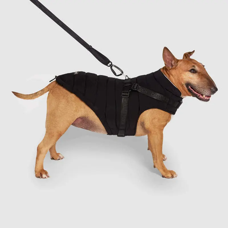 Canada Pooch Black Harness Puffer Coat Size 16