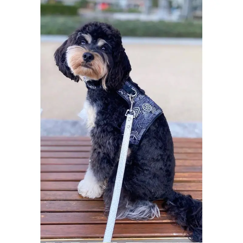 The Chevron Dog Harness