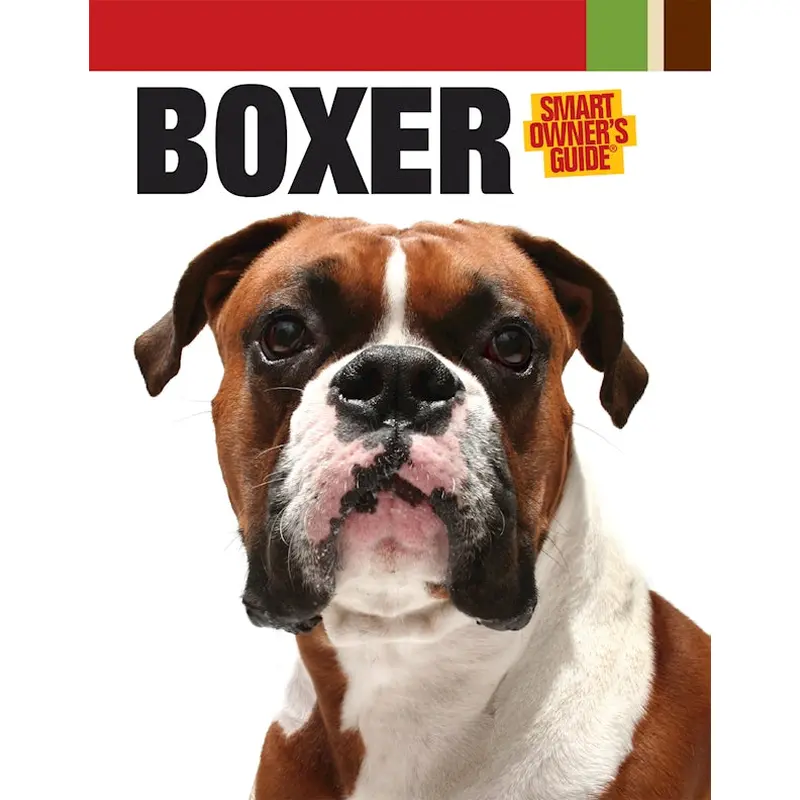 Boxer