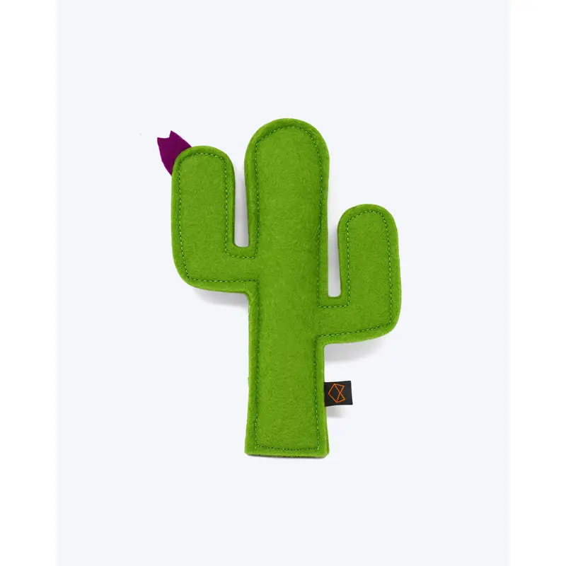 KITTY CACTUS