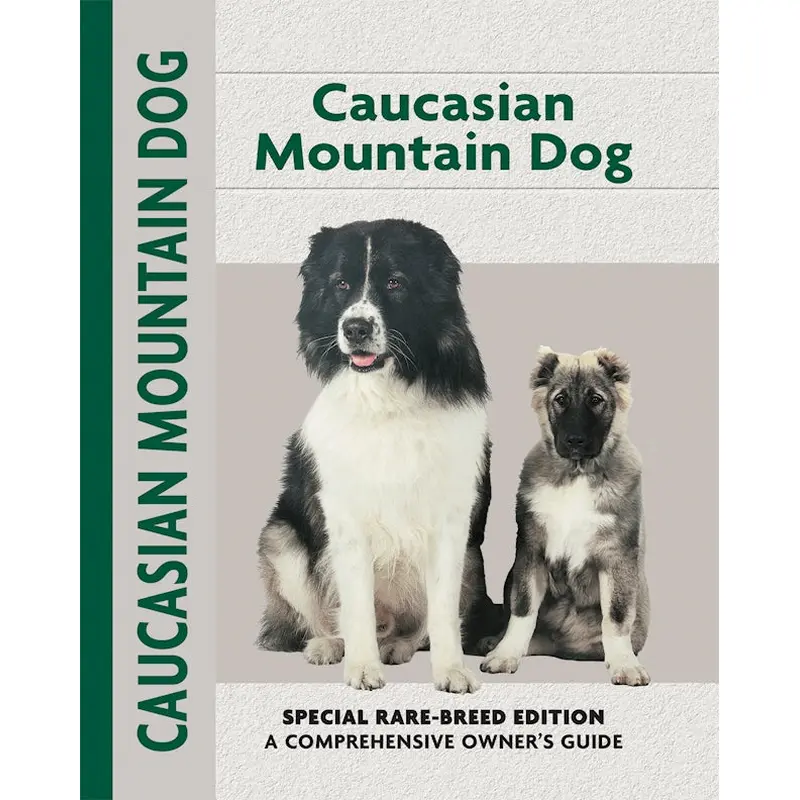 Caucasian Mountain Dog