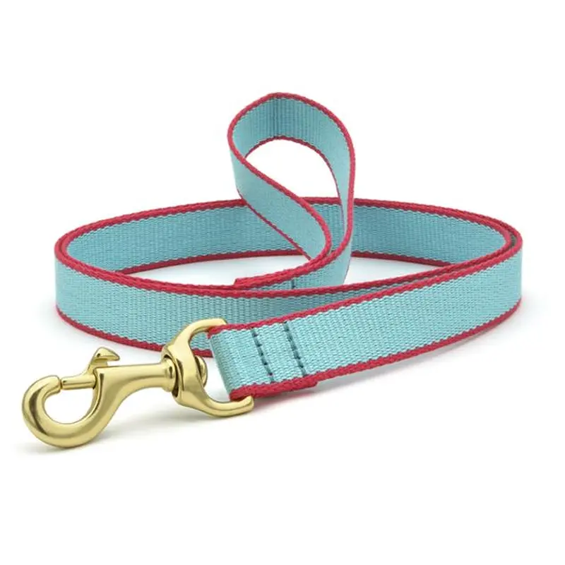 Color Market Dog Lead