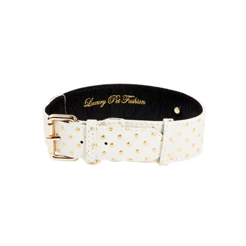 White & Gold Polka Dot Italian Leather Classic Collar
