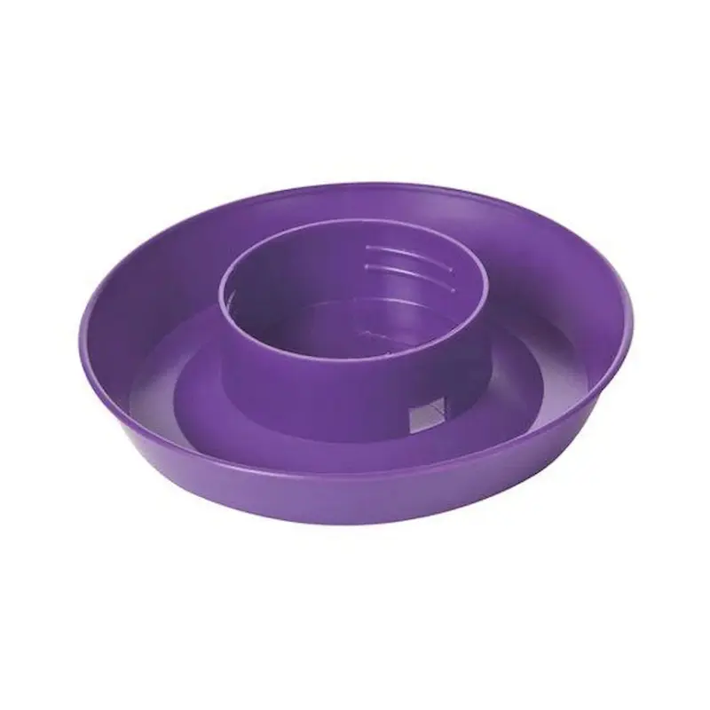 Little Giant Mason Jar Screw-On Poultry Purple Waterer Base for Birds