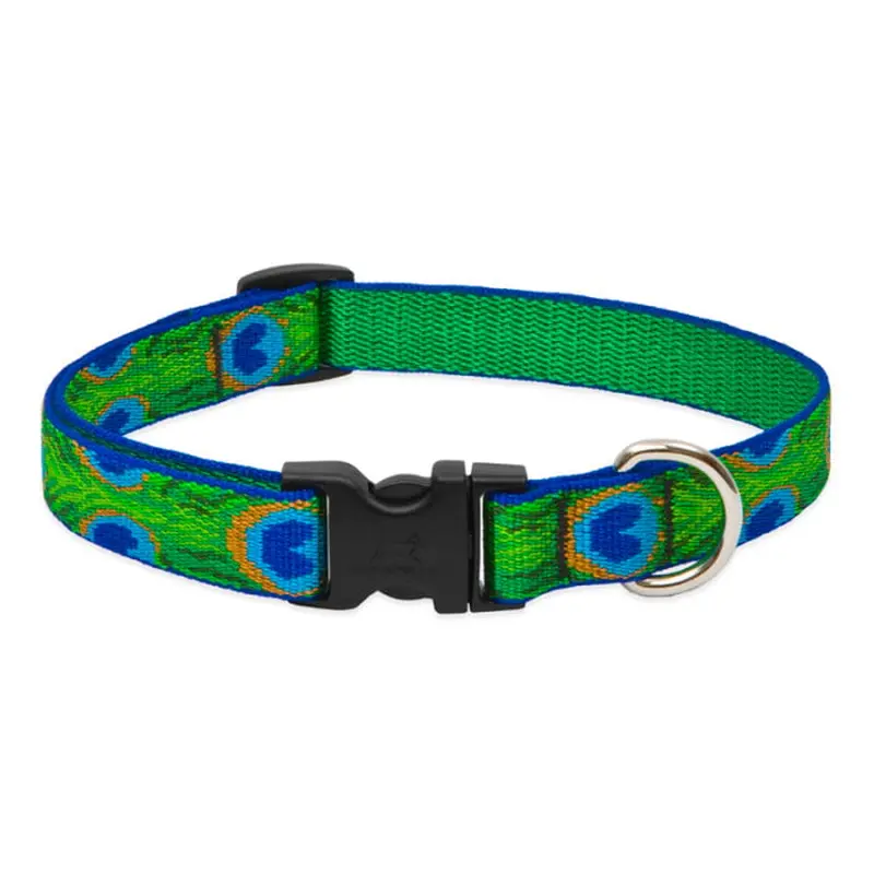 Lupine Pet Dog 3/4 In Wide 15-25 In Adjustable Collar Original Designs Tailfeathers