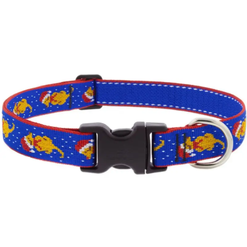 Lupine MicroBatch Dog Collar 1" x 16"-28" Snow Pup