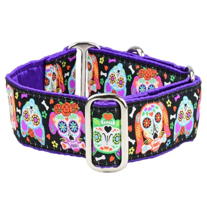 2 Hounds Design Dog Collar - Large 16-20" - XOLO  Sugar Skull