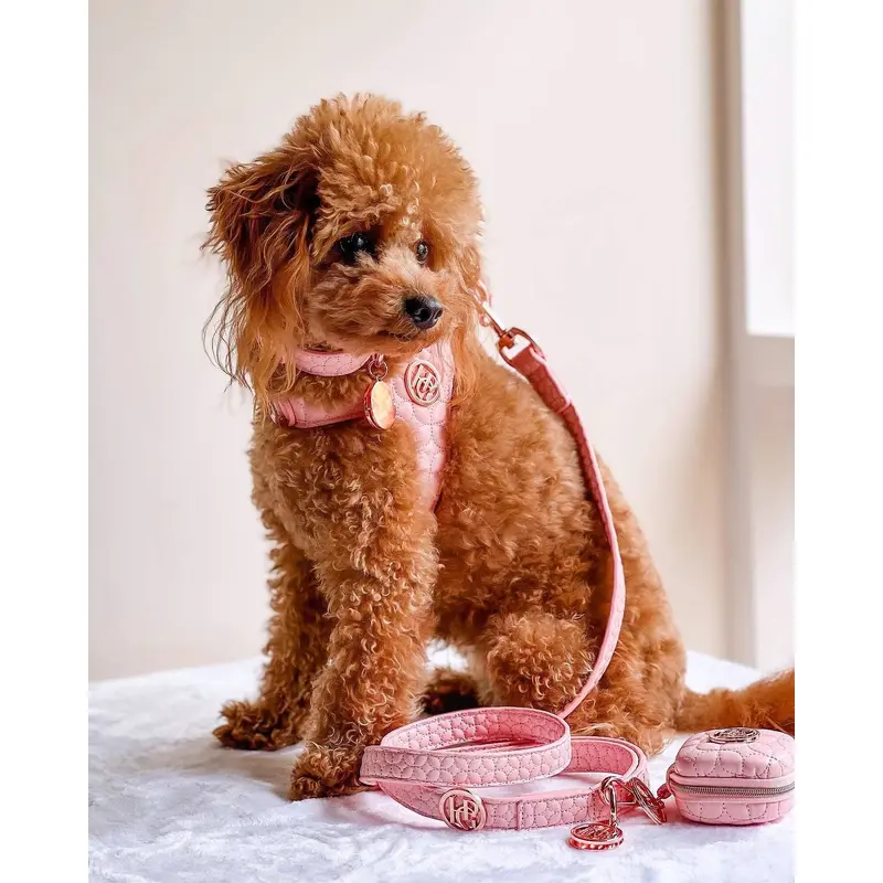 The Novalie Kiss - Step in Dog Harness
