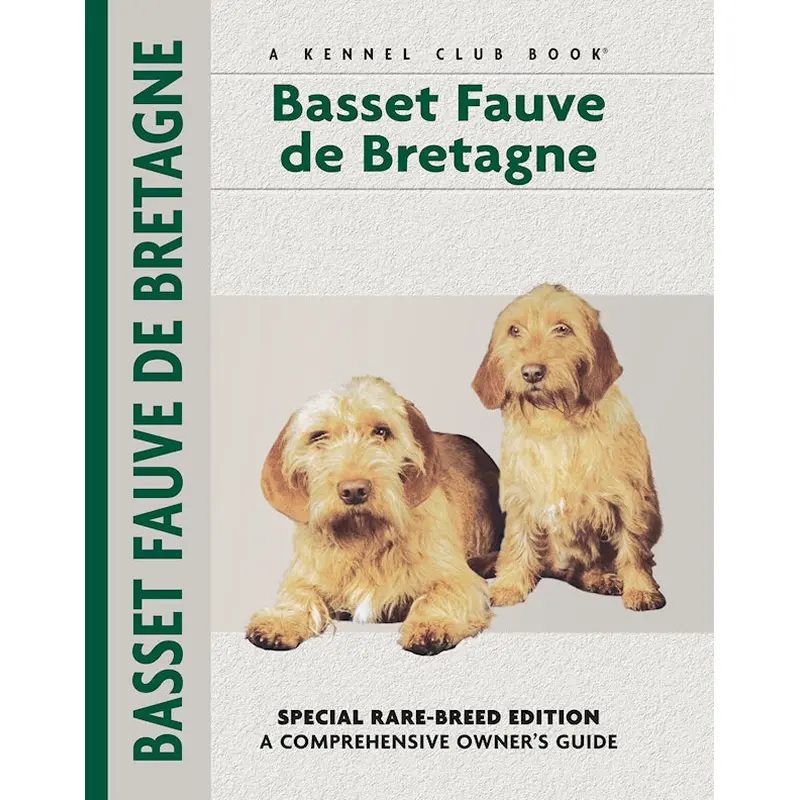 Basset Fauve De Bretagne