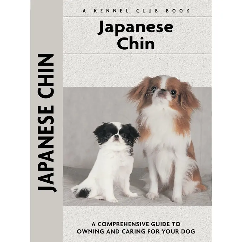 Japanese Chin