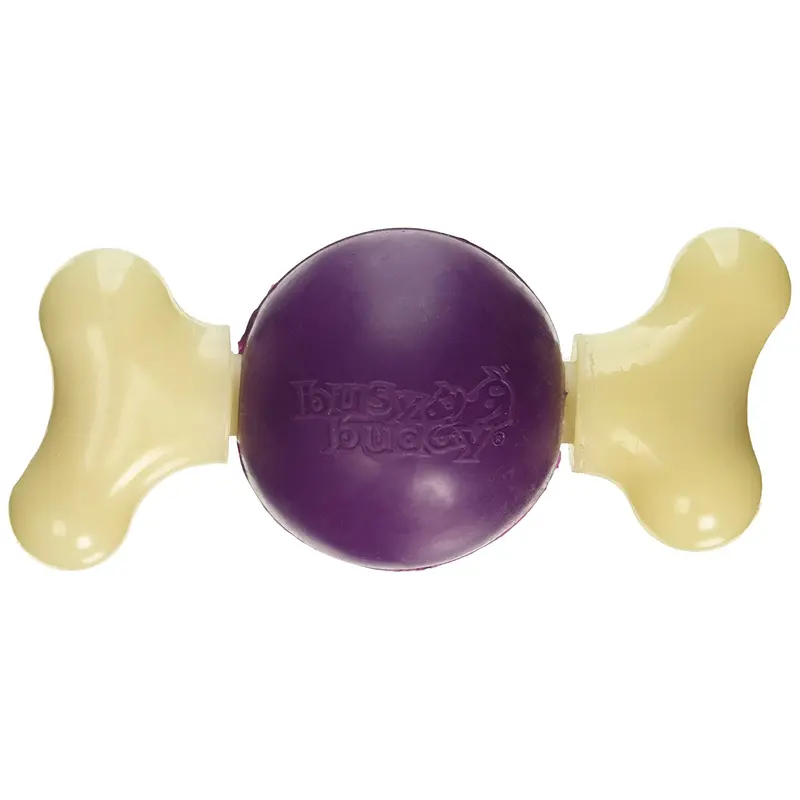 PetSafe Busy Buddy Bouncy Bone, Medium