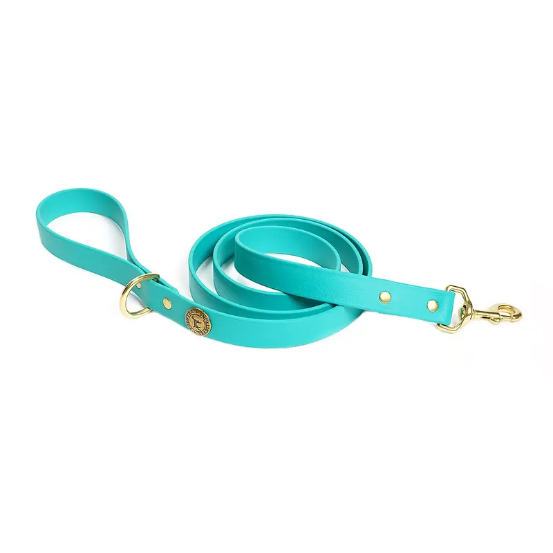 Sporting Dog Leash - Teal