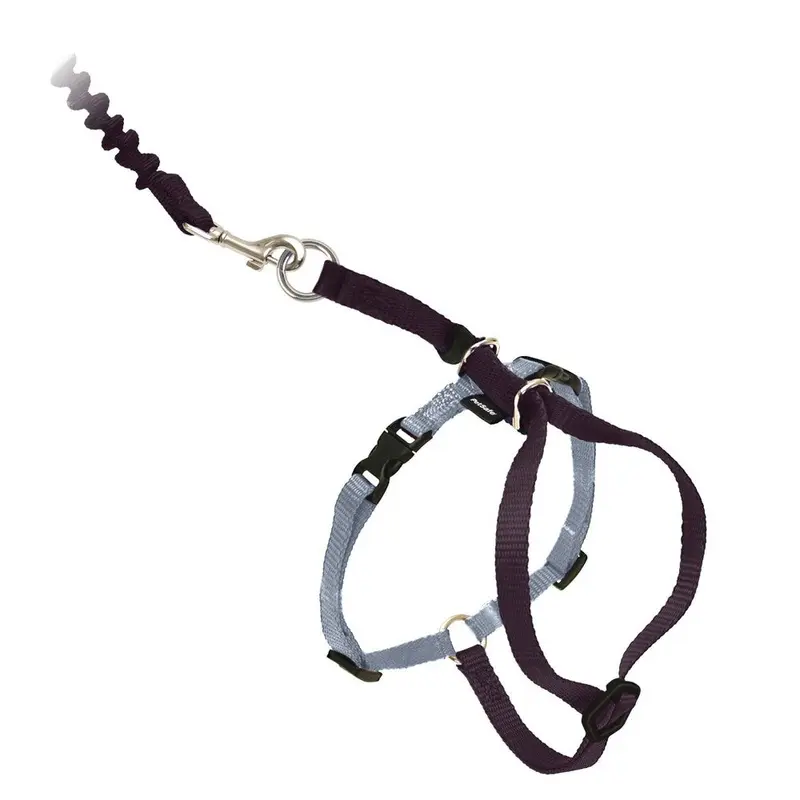 PetSafe Come With Me Kitty Harness and Bungee Leash  Large  Black