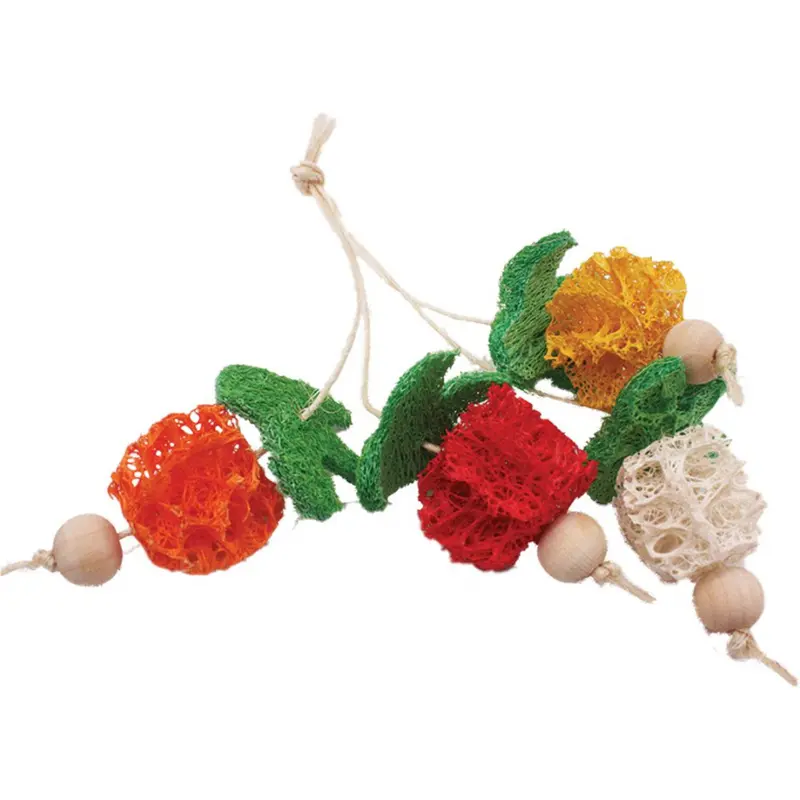 A & E Nibbles Loofah Bunch Fruit Small Animal Toy