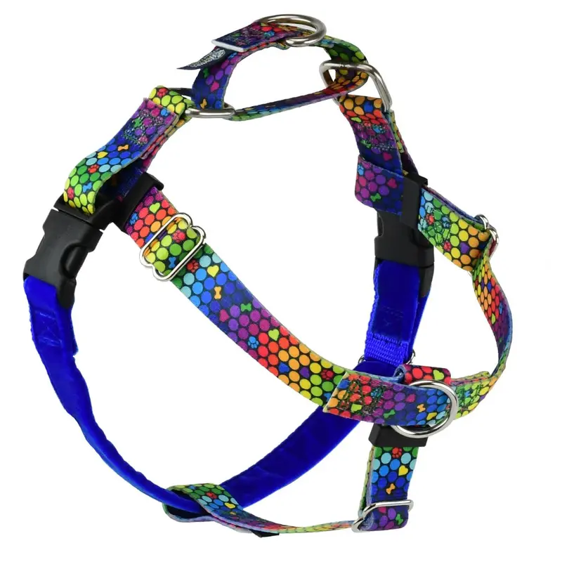 2 Hounds Design Freedom No-Pull Dog Harness - X-Large 1" x 32"36" - Roy G Biv