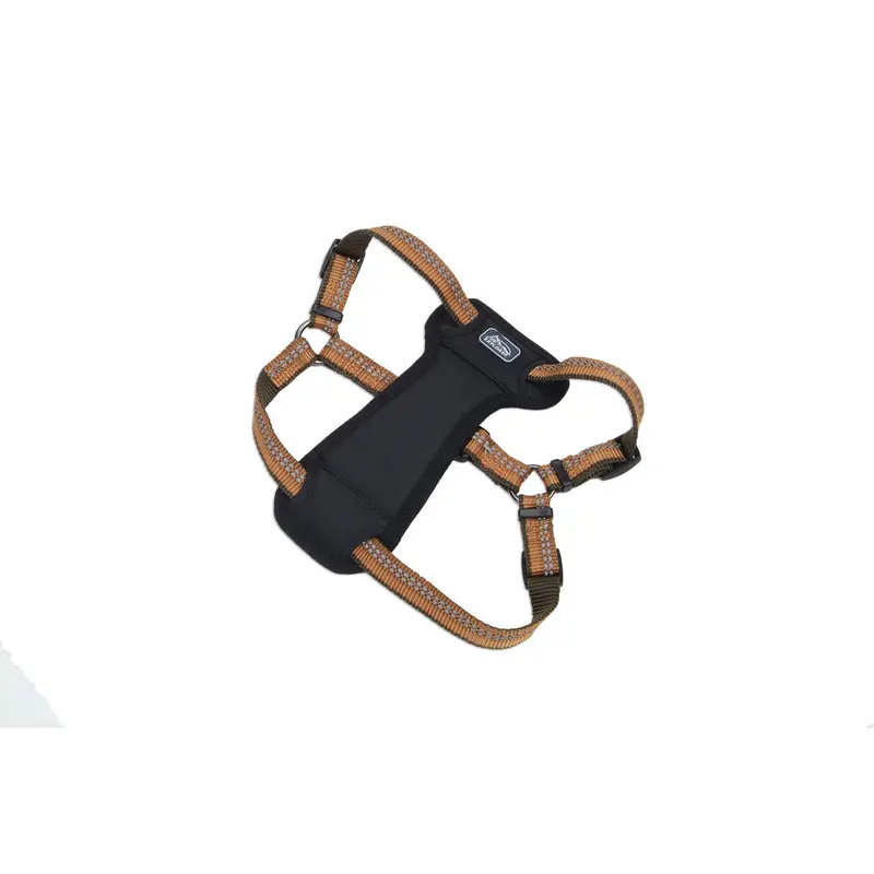 Coastal K9 Explorer Padded Harness