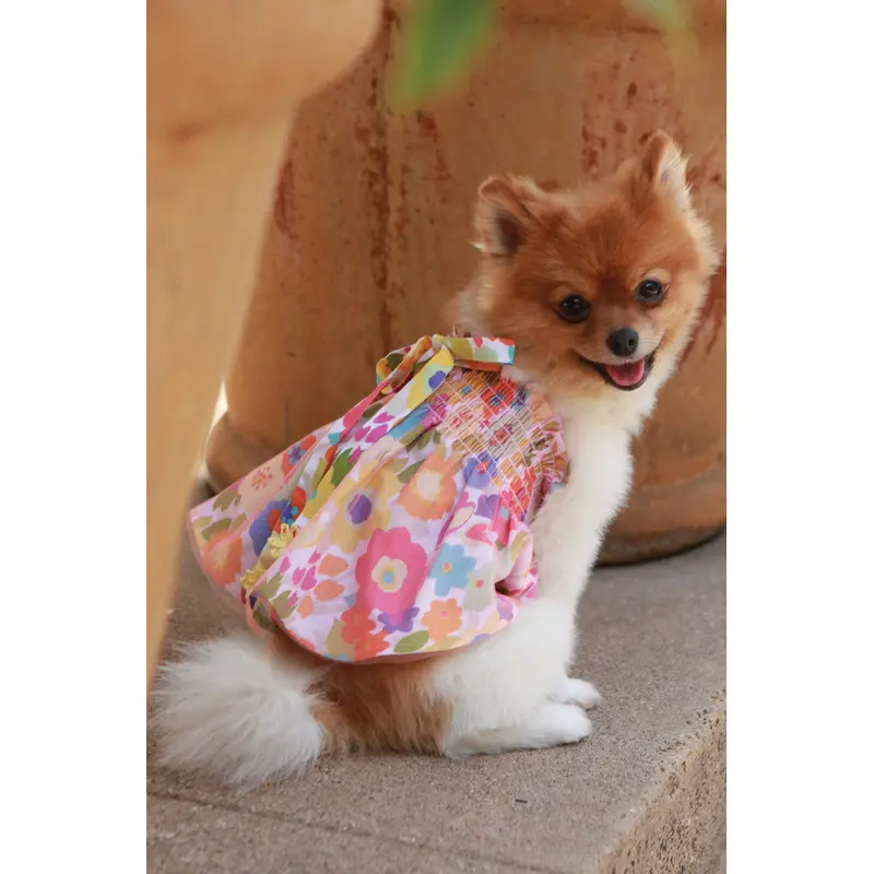 The Hannah Floral Dog Dress